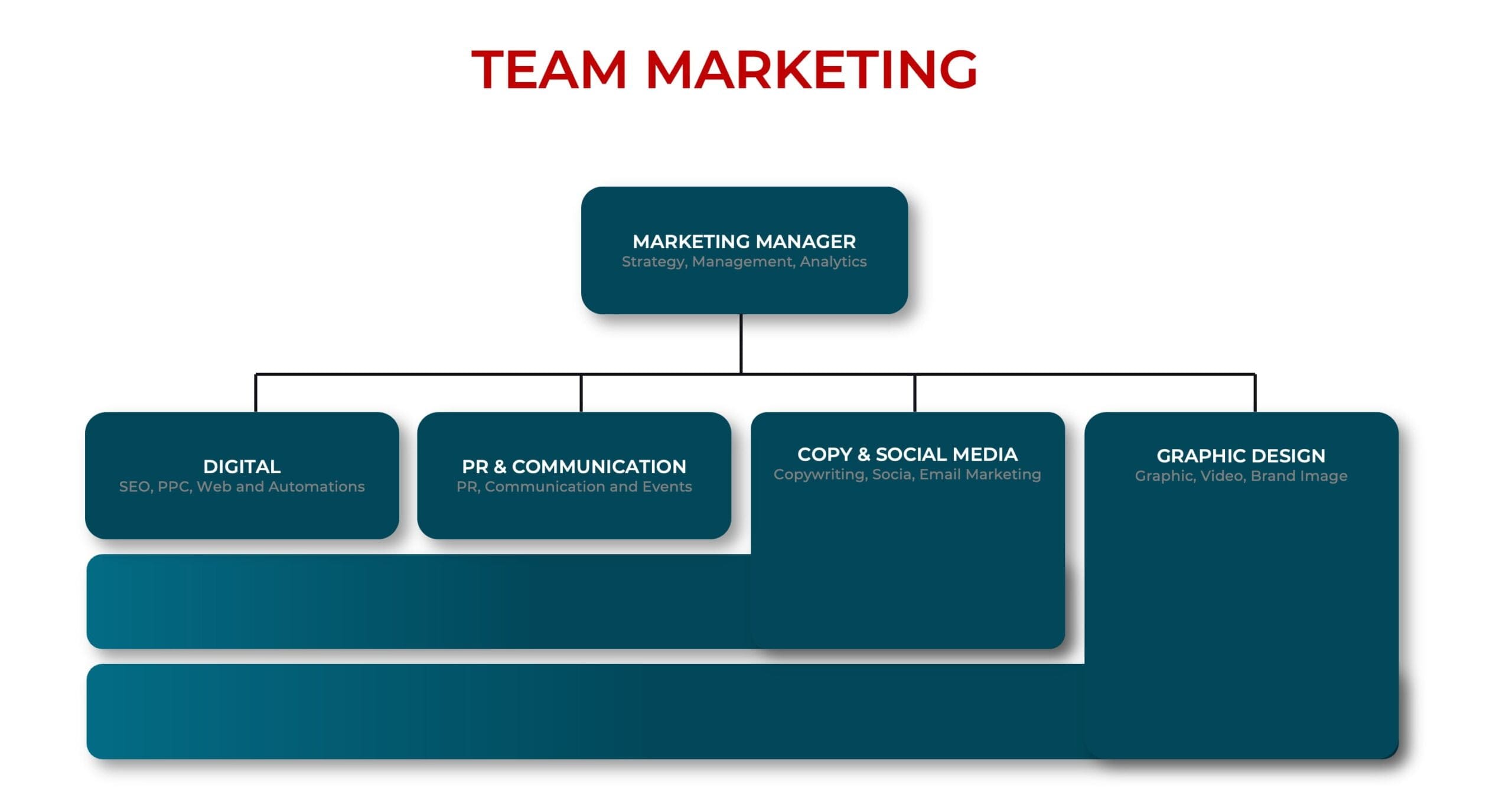 esempio di organigramma di un team marketing